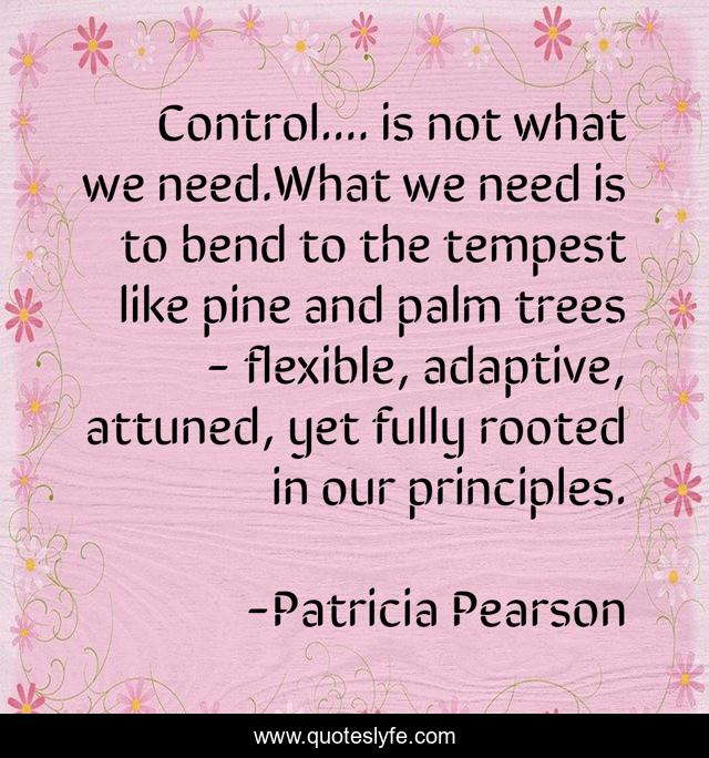 Control.... is not what we need.What we need is to bend to the tempest like pine and palm trees - flexible, adaptive, attuned, yet fully rooted in our principles.