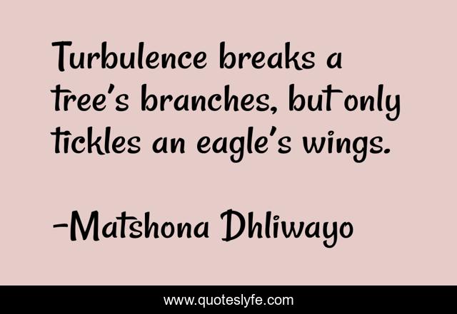 Turbulence breaks a tree’s branches, but only tickles an eagle’s wings.