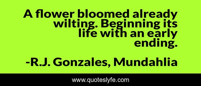 A flower bloomed already wilting. Beginning its life with an early ending.