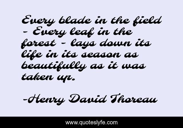 Every blade in the field - Every leaf in the forest - lays down its life in its season as beautifully as it was taken up.