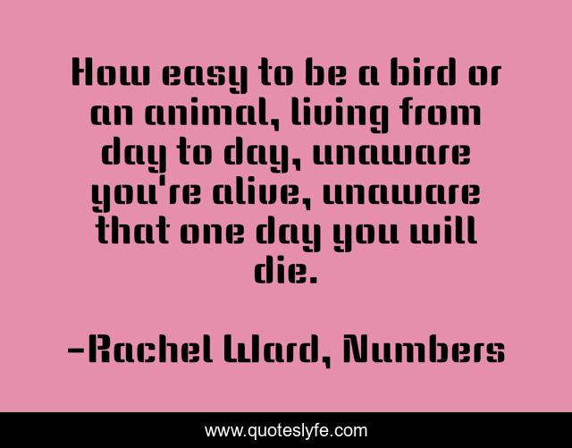 How easy to be a bird or an animal, living from day to day, unaware you're alive, unaware that one day you will die.