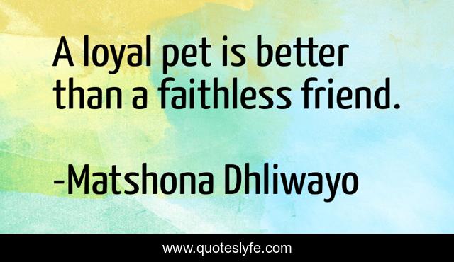 A loyal pet is better than a faithless friend.