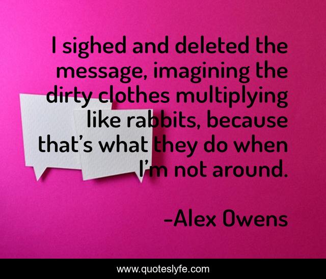 I sighed and deleted the message, imagining the dirty clothes multiplying like rabbits, because that’s what they do when I’m not around.