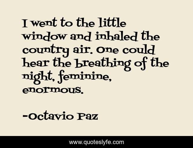 I went to the little window and inhaled the country air. One could hear the breathing of the night, feminine, enormous.