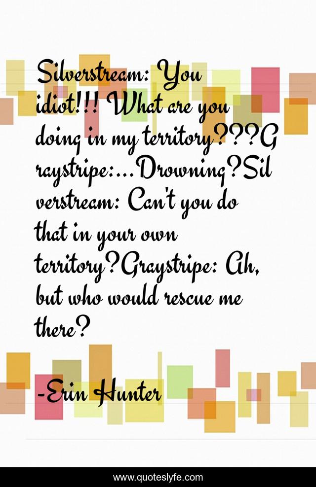 Silverstream: You idiot!!! What are you doing in my territory???Graystripe:...Drowning?Silverstream: Can't you do that in your own territory?Graystripe: Ah, but who would rescue me there?