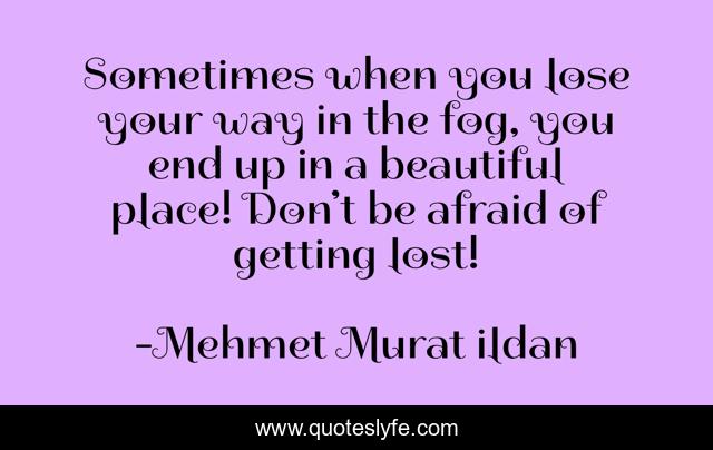 Sometimes when you lose your way in the fog, you end up in a beautiful place! Don’t be afraid of getting lost!