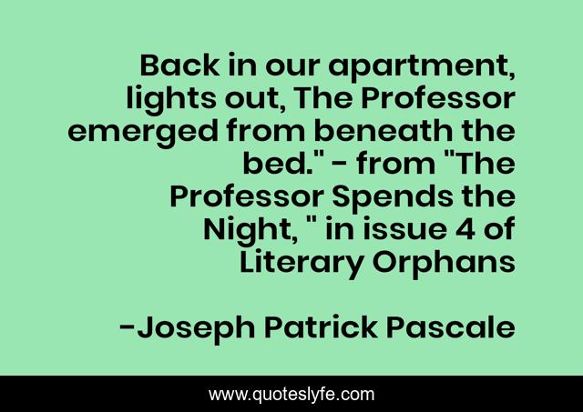 Back in our apartment, lights out, The Professor emerged from beneath the bed.