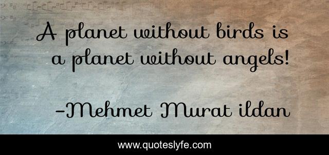 A planet without birds is a planet without angels!