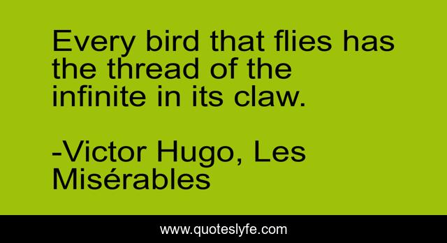 Every bird that flies has the thread of the infinite in its claw.