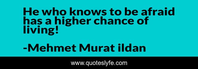 He who knows to be afraid has a higher chance of living!