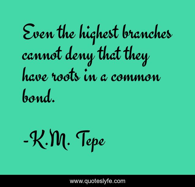 Even the highest branches cannot deny that they have roots in a common bond.