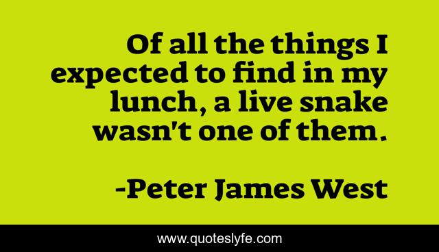 Of all the things I expected to find in my lunch, a live snake wasn't one of them.