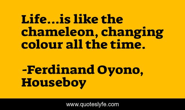 Life...is like the chameleon, changing colour all the time.