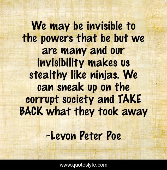 We may be invisible to the powers that be but we are many and our invisibility makes us stealthy like ninjas. We can sneak up on the corrupt society and TAKE BACK what they took away