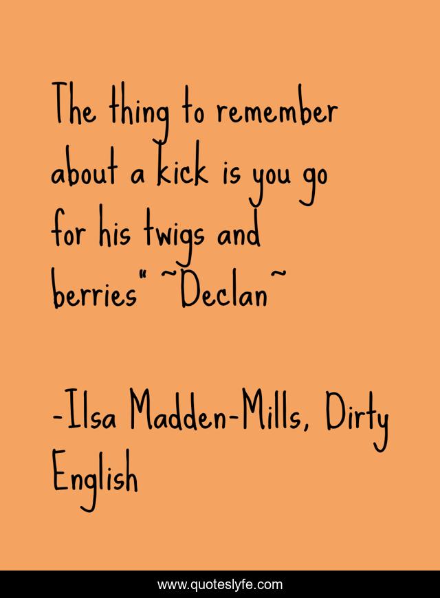 The thing to remember about a kick is you go for his twigs and berries