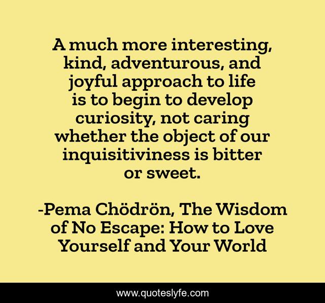 A much more interesting, kind, adventurous, and joyful approach to life is to begin to develop curiosity, not caring whether the object of our inquisitiviness is bitter or sweet.
