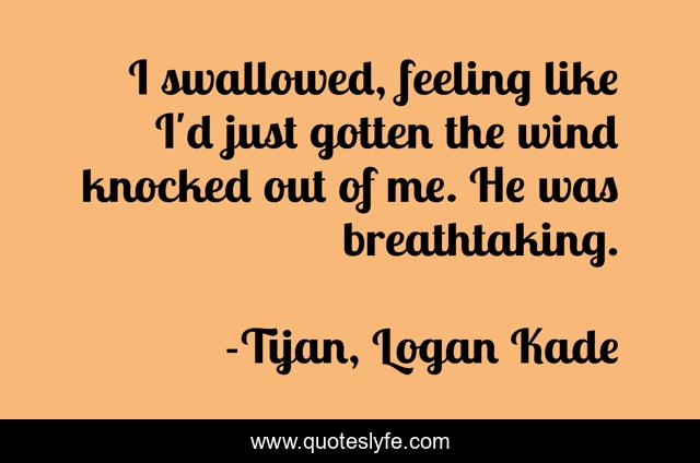 I swallowed, feeling like I'd just gotten the wind knocked out of me. He was breathtaking.