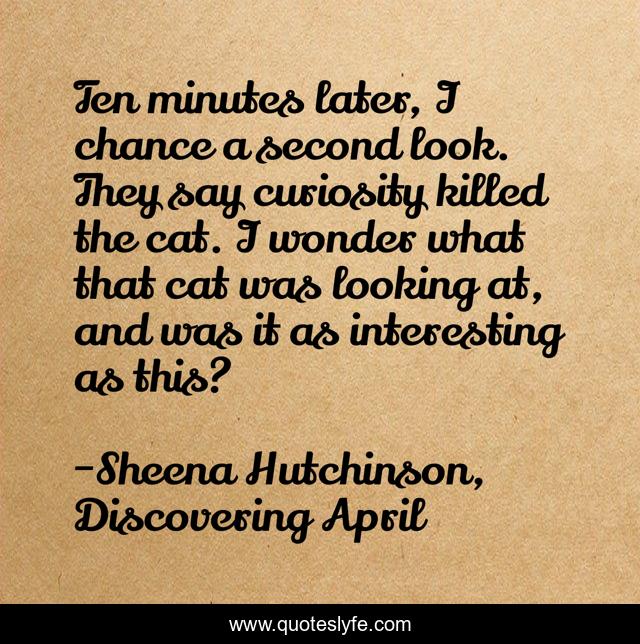 Ten minutes later, I chance a second look. They say curiosity killed the cat. I wonder what that cat was looking at, and was it as interesting as this?