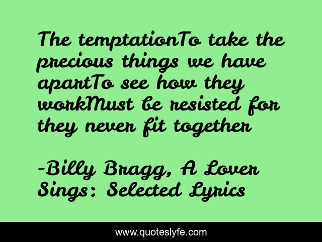 The temptationTo take the precious things we have apartTo see how they workMust be resisted for they never fit together