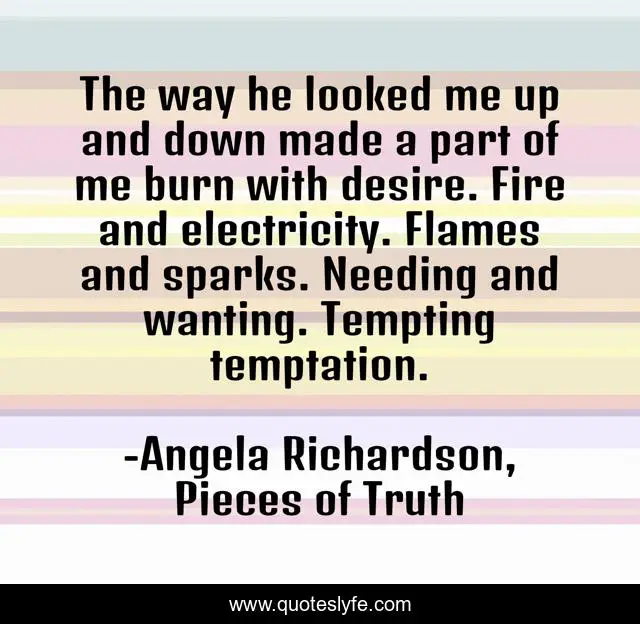 The way he looked me up and down made a part of me burn with desire. Fire and electricity. Flames and sparks. Needing and wanting. Tempting temptation.