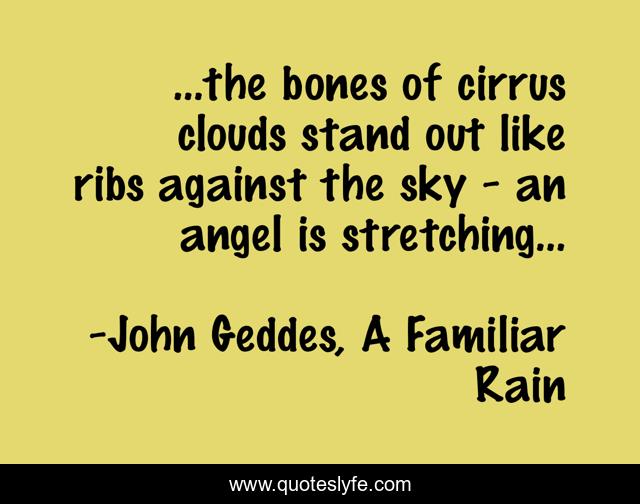 ...the bones of cirrus clouds stand out like ribs against the sky - an angel is stretching...