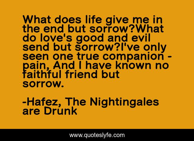 What does life give me in the end but sorrow?What do love's good and evil send but sorrow?I've only seen one true companion - pain, And I have known no faithful friend but sorrow.