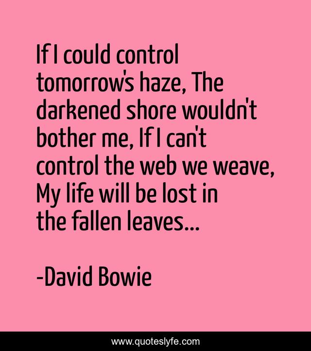 If I could control tomorrow's haze, The darkened shore wouldn't bother me, If I can't control the web we weave, My life will be lost in the fallen leaves...