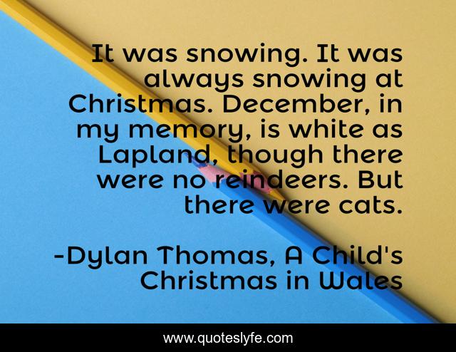 It was snowing. It was always snowing at Christmas. December, in my memory, is white as Lapland, though there were no reindeers. But there were cats.