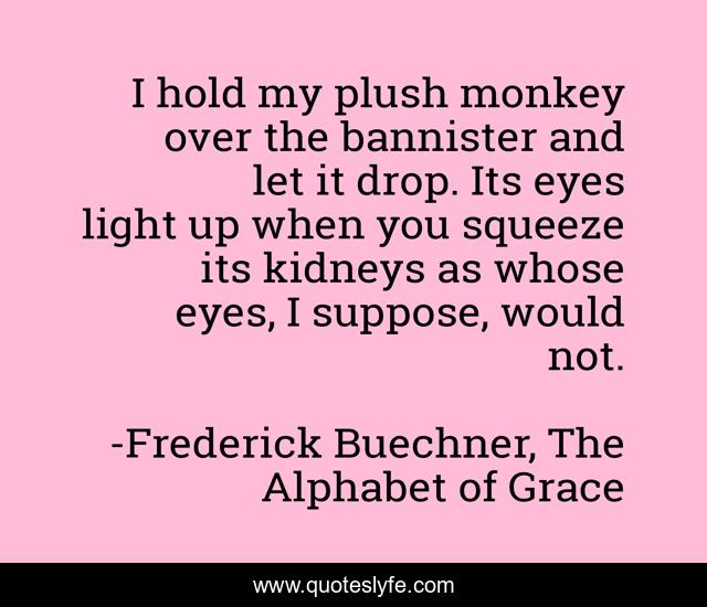 I hold my plush monkey over the bannister and let it drop. Its eyes light up when you squeeze its kidneys as whose eyes, I suppose, would not.