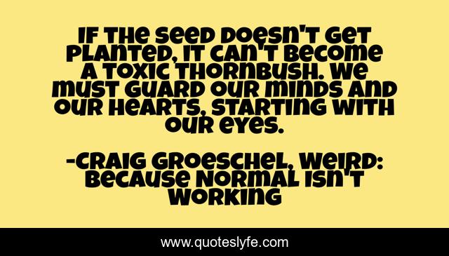 If the seed doesn't get planted, it can't become a toxic thornbush. We must guard our minds and our hearts, starting with our eyes.