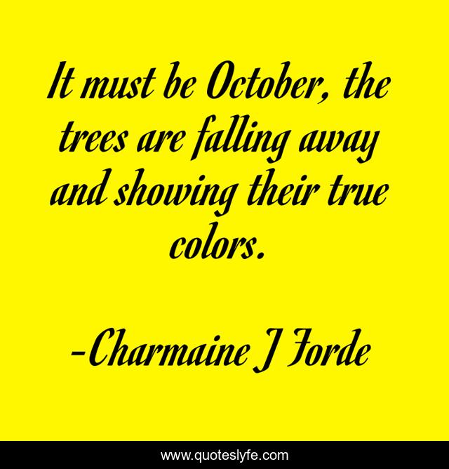 It must be October, the trees are falling away and showing their true colors.