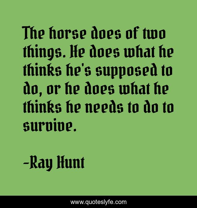 The horse does of two things. He does what he thinks he's supposed to do, or he does what he thinks he needs to do to survive.