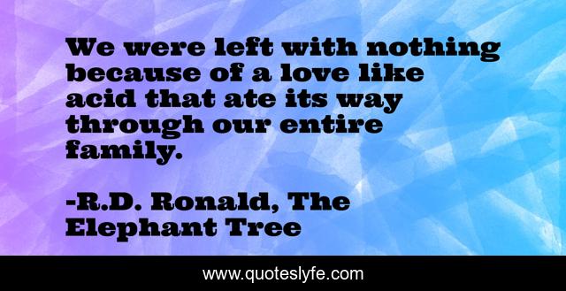 We were left with nothing because of a love like acid that ate its way through our entire family.