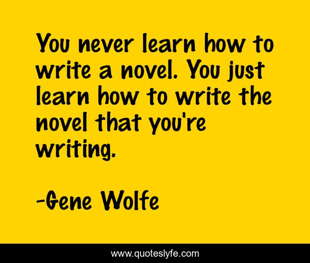 You never learn how to write a novel. You just learn how to write the novel that you're writing.