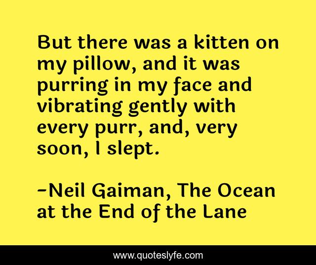 But there was a kitten on my pillow, and it was purring in my face and vibrating gently with every purr, and, very soon, I slept.