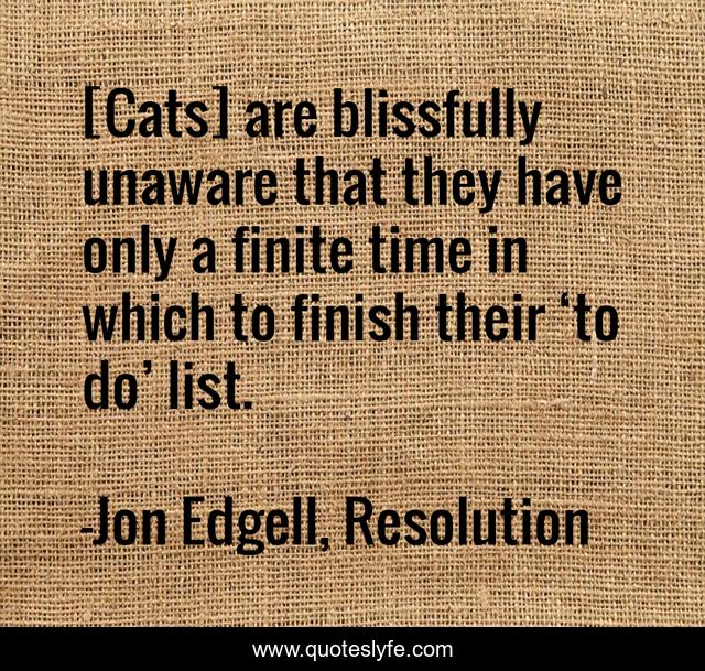 [Cats] are blissfully unaware that they have only a finite time in which to finish their ‘to do’ list.