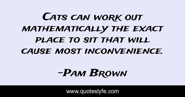 Cats can work out mathematically the exact place to sit that will cause most inconvenience.