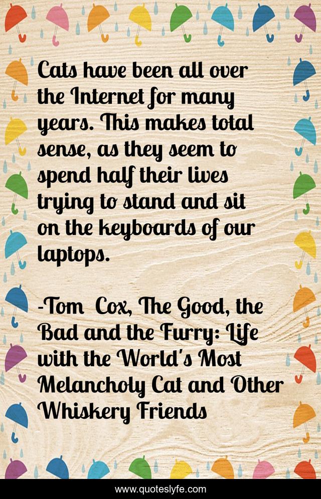 Cats have been all over the Internet for many years. This makes total sense, as they seem to spend half their lives trying to stand and sit on the keyboards of our laptops.