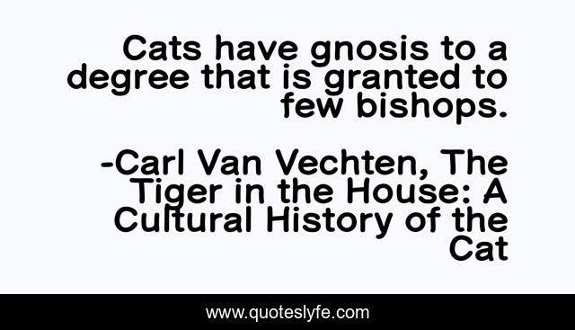 Cats have gnosis to a degree that is granted to few bishops.
