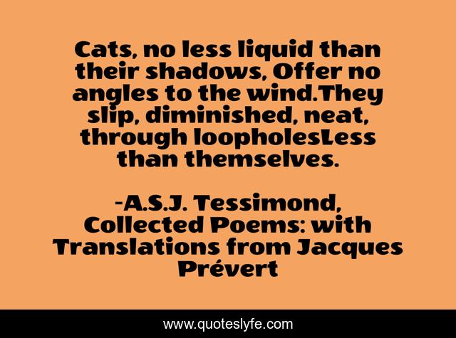Cats, no less liquid than their shadows, Offer no angles to the wind.They slip, diminished, neat, through loopholesLess than themselves.