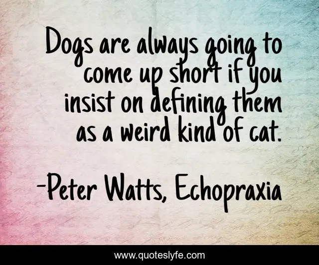 Dogs are always going to come up short if you insist on defining them as a weird kind of cat.