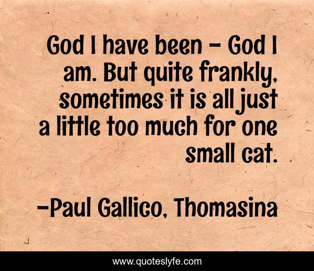 God I have been - God I am. But quite frankly, sometimes it is all just a little too much for one small cat.