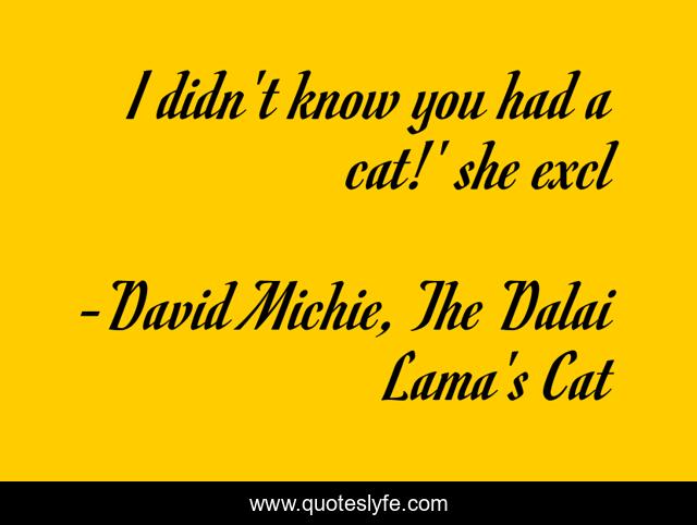 I didn't know you had a cat!' she excl