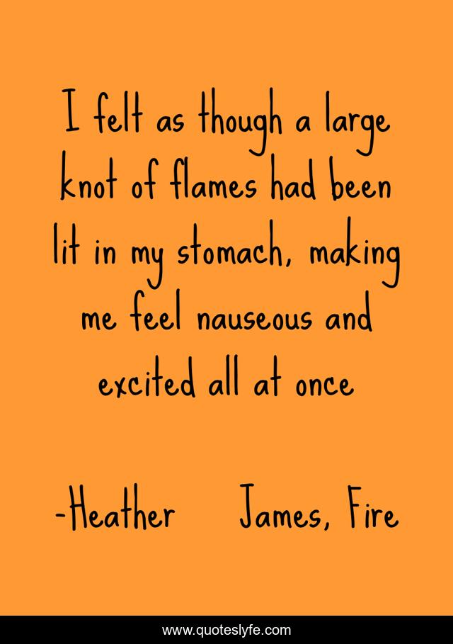 I felt as though a large knot of flames had been lit in my stomach, making me feel nauseous and excited all at once