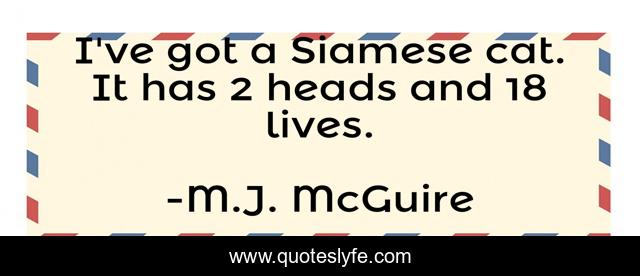 I've got a Siamese cat. It has 2 heads and 18 lives.