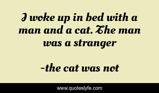 I woke up in bed with a man and a cat. The man was a stranger
