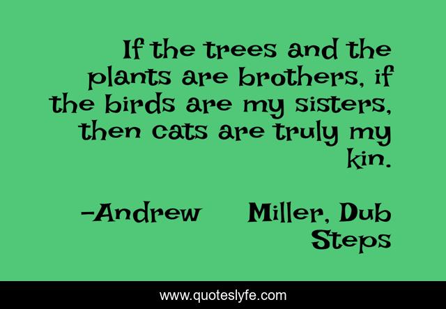 If the trees and the plants are brothers, if the birds are my sisters, then cats are truly my kin.