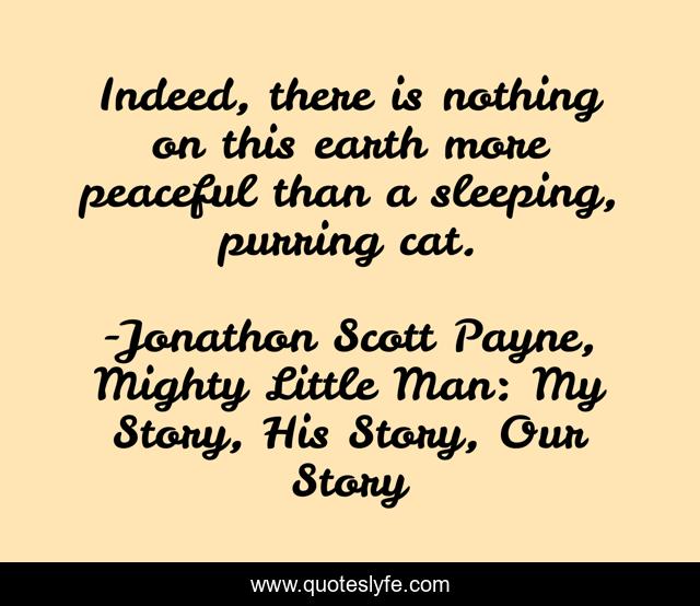 Indeed, there is nothing on this earth more peaceful than a sleeping, purring cat.