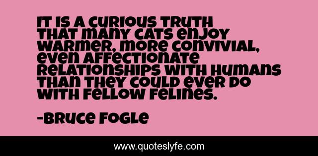 It is a curious truth that many cats enjoy warmer, more convivial, even affectionate relationships with humans than they could ever do with fellow felines.