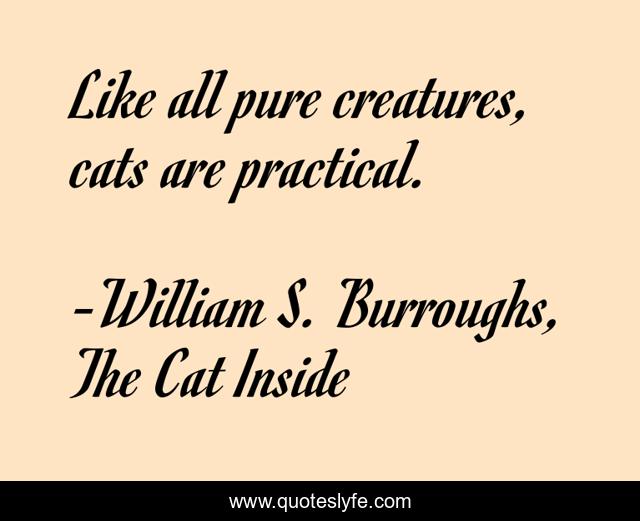 Like all pure creatures, cats are practical.